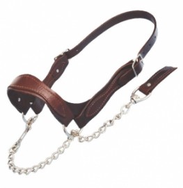 Leather flat strap show halter - Cow/young bull